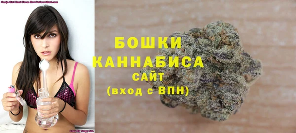 молекула духа Белокуриха