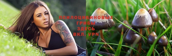 кристаллы Белоозёрский