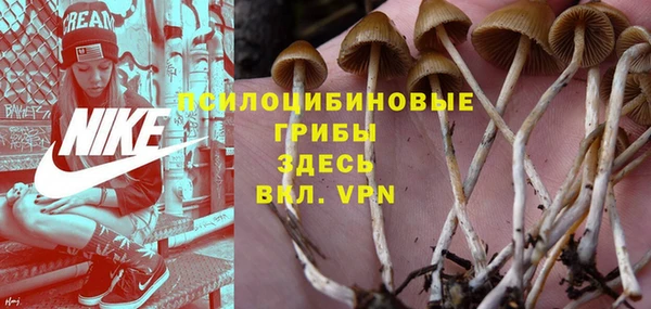 молекула духа Белокуриха