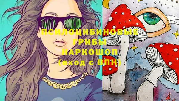 молекула духа Белокуриха