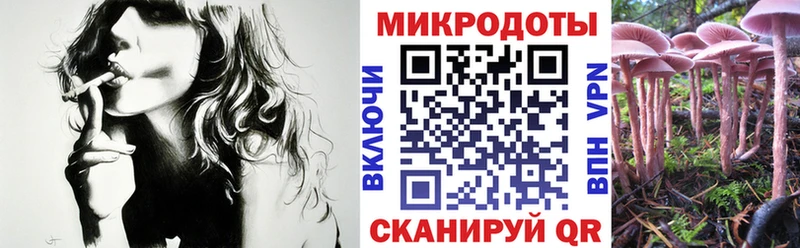 Галлюциногенные грибы Psilocybine cubensis  Всеволожск 